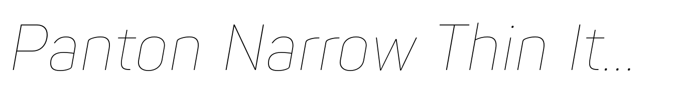 Panton Narrow Thin Italic